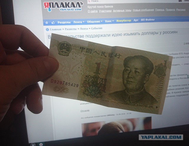 В правительстве поддержали идею изымать доллары у россиян