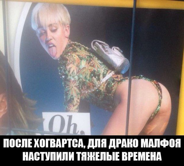 Прикольные картинки абавсём