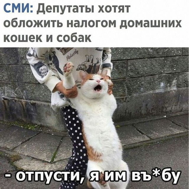 Немного картинок на вечер