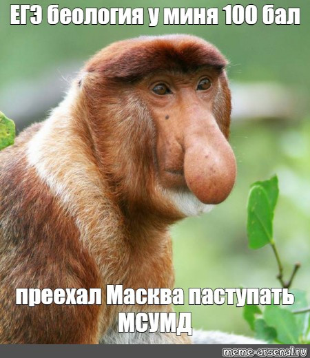 Прикалюхи