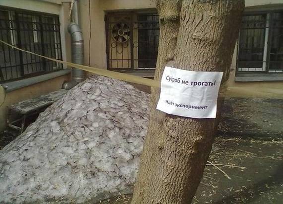 Картинки
