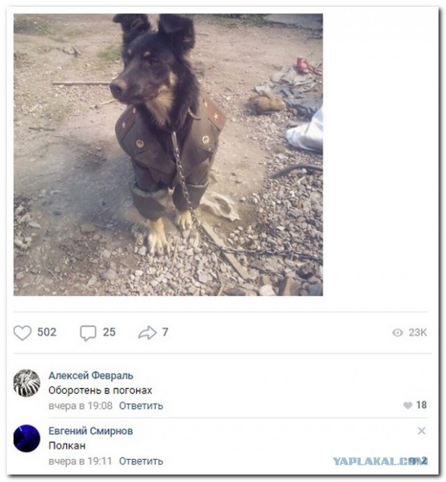 Немного юмора из этих ваших соцсетей