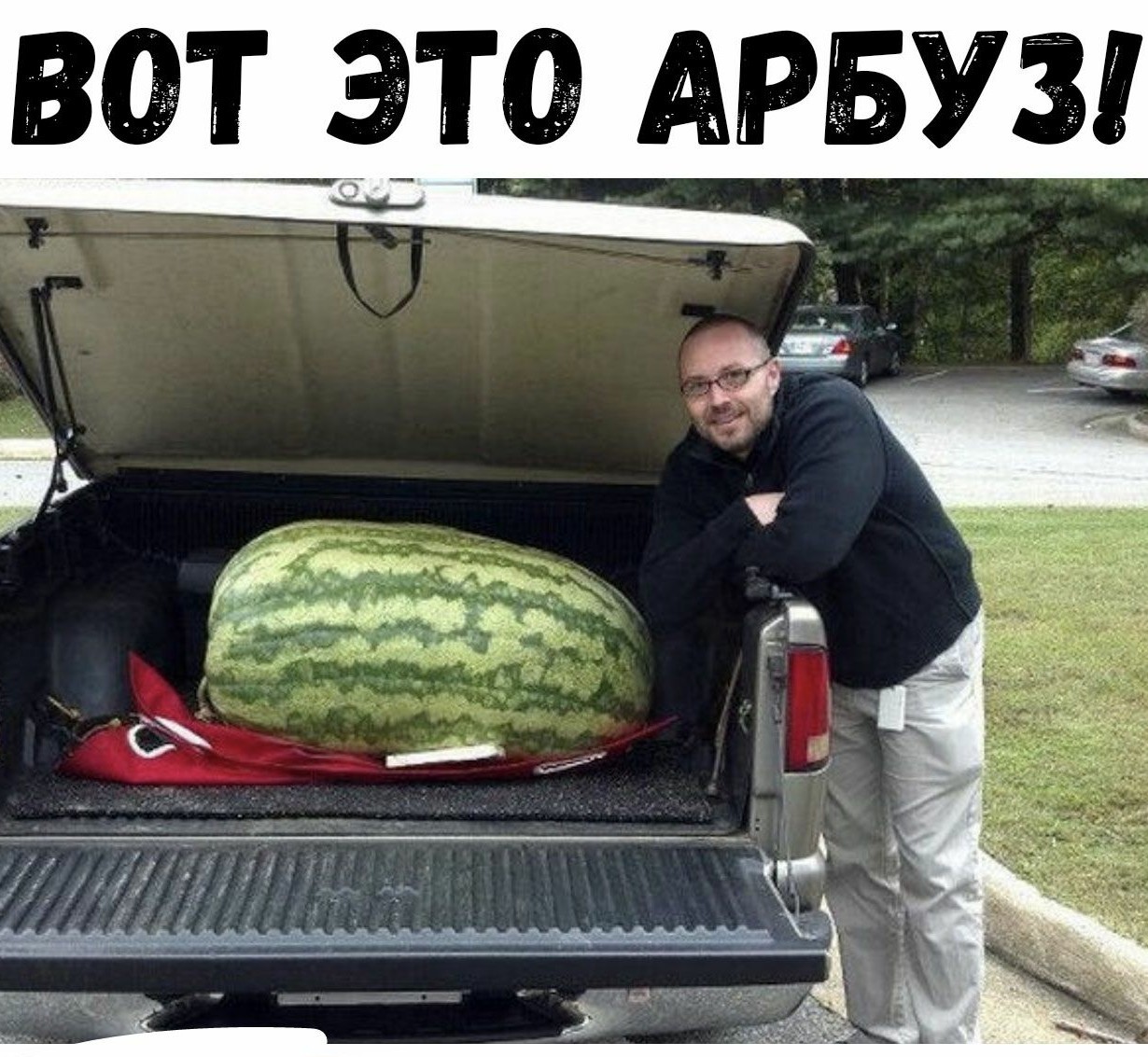 13150968.jpg