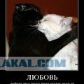 Аватары на заказ