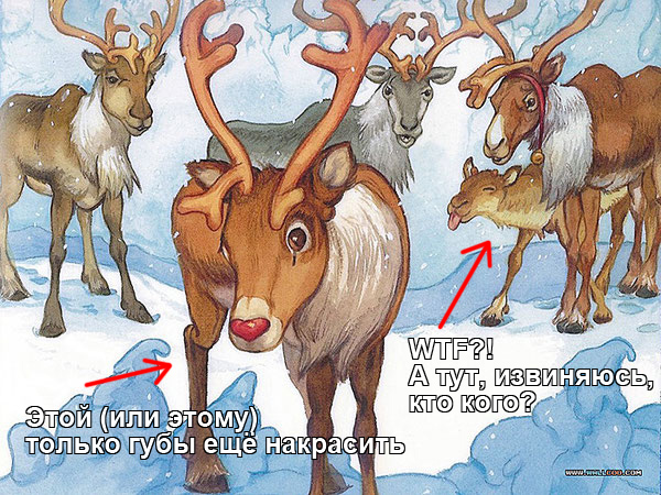 Команда сильных, мощных, независимых женщин в упряжке