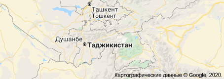 Родившая 11-го ребенка в 33 года жительница Подмосковья захотела помощи Путина