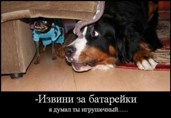 Немного картинок для настроения 31.03.20