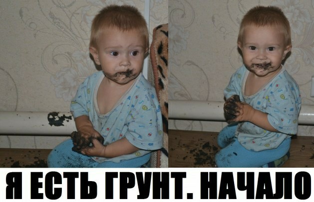 Скотсети и прочие интернеты 03.04.20
