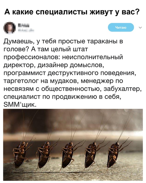 Немного картинок для настроения 20.04.20