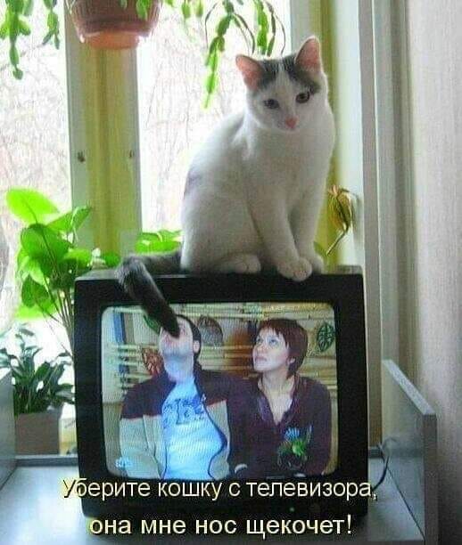 Бредзона 14.05.20