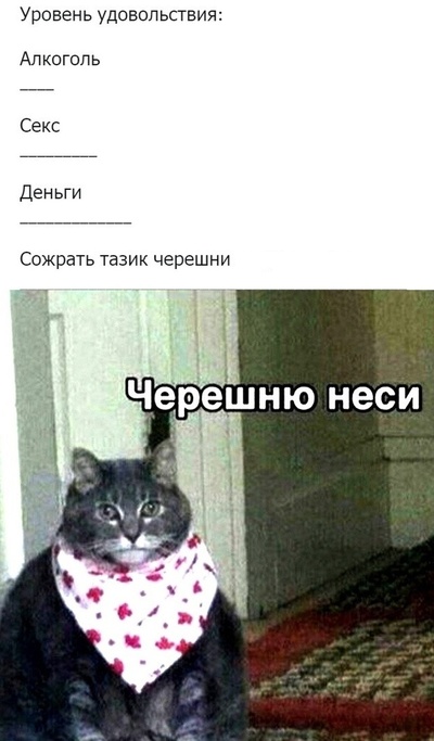 За что мужчины так ненавидят РСП - разведенных женщин с детьми?