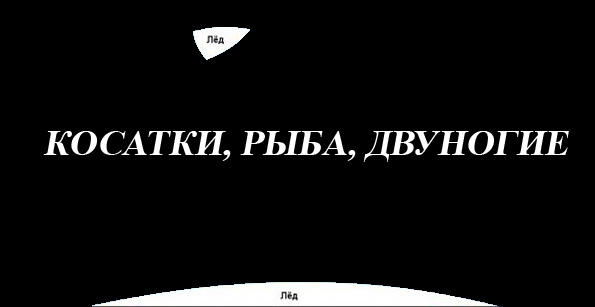 Мир глазами американцев