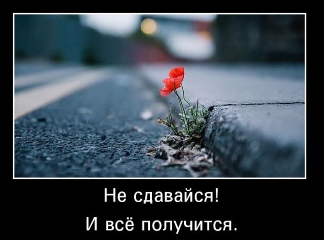 Прикольные и просто красивые картинки 14.08.2020
