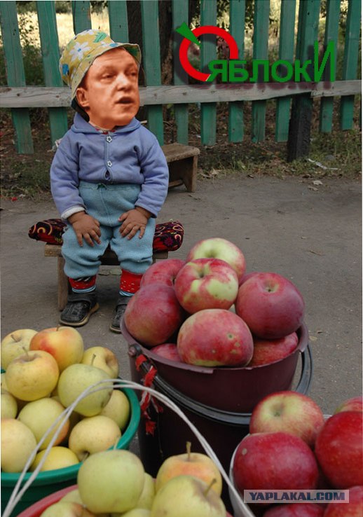Звездные брэнды