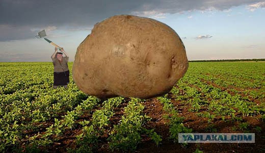 Фотожаба: Зомби атакуют