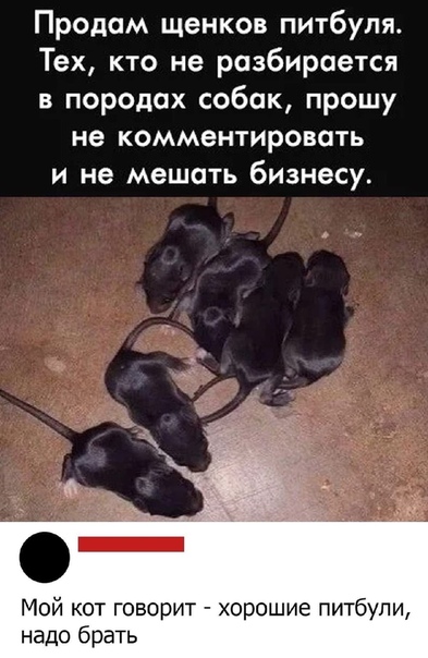 Немного картинок для настроения 26.10.20