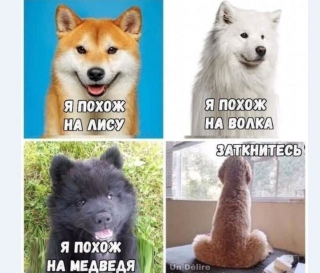 Картинки с надписями и всякие жизненные фразы 14.1.21