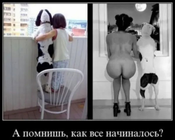 Сборка жипегов