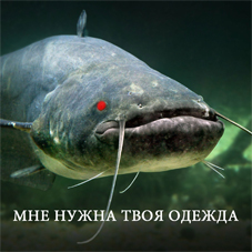 Во Вьетнаме сняли невозможный побег