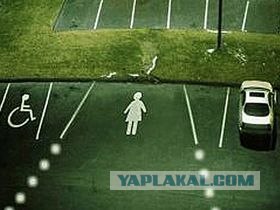 Не растерялись