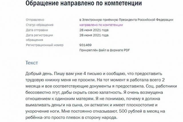 В Новосибирске матери-одиночке отказали в пособии на ребёнка и даже пригрозили опекой после её жалоб Путину