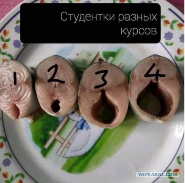 Картинки-баяны-бабаяны 01.09.2021