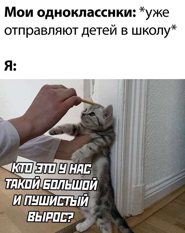 Весёлый полтишок 21.09