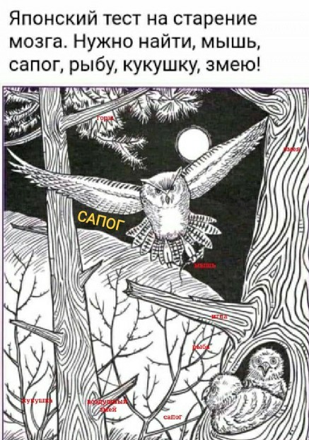 Бредзона 10.10.2021