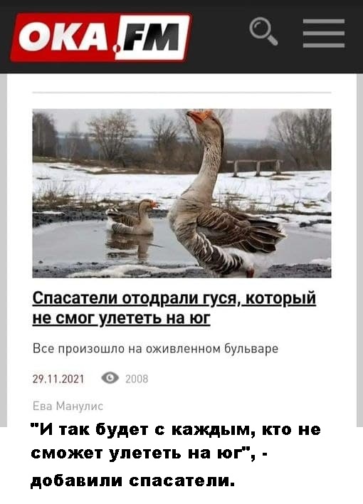 Всяческие картинки
