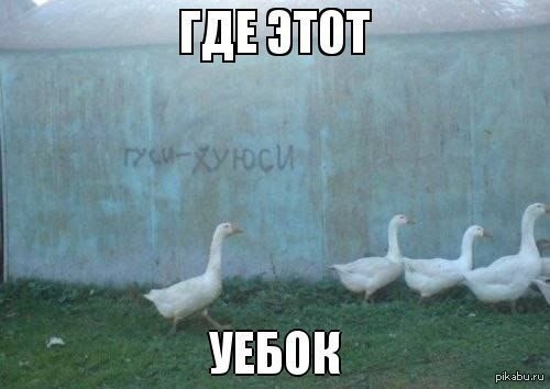 В Магадане нашли мертвым депутата c фотографии с тушами убитых гусей