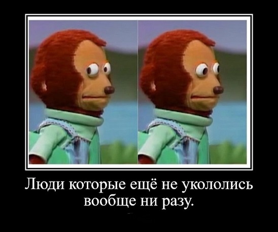 В Израиле с гордостью заявили, что они станут первой страной в мире, где будет введена обязательная 4я доза вакцины против Covd