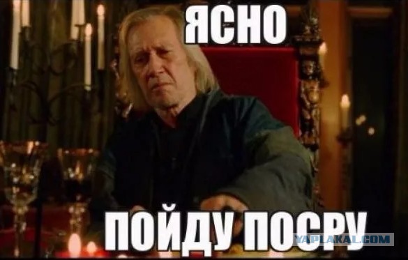 Автора художественных фекалий на Марсовом поле задержали в Петербурге