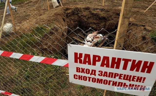 В Гостомеле ликвидирован командир роты снайперов ВСУ