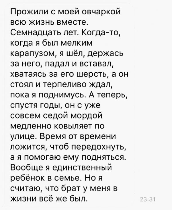 Забавные комментарии из социальных сетей (21.03.22)