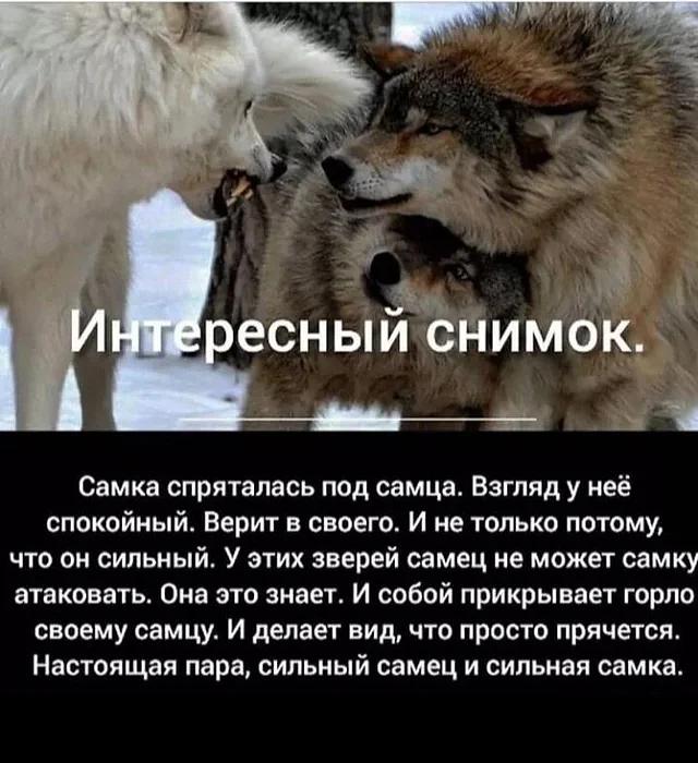 Так себе картинки 26.03.22