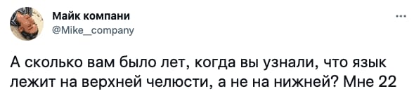 Весёлый полтишок 20.04.22