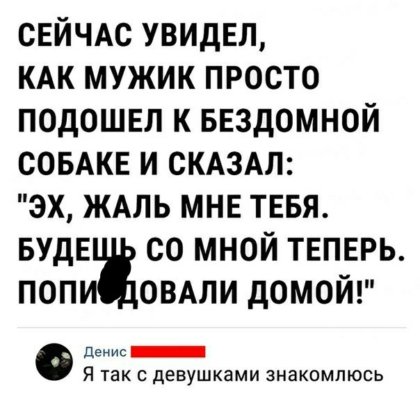 50 оттенков серого. Vol.4  Или самосвал баянов
