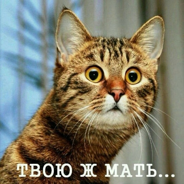 Россия покрупнела