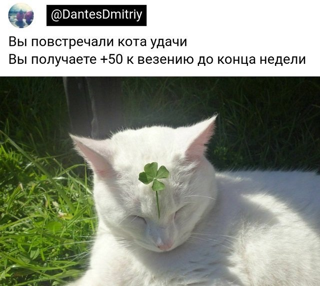 Прикольные и просто красивые картинки 22.11.2022