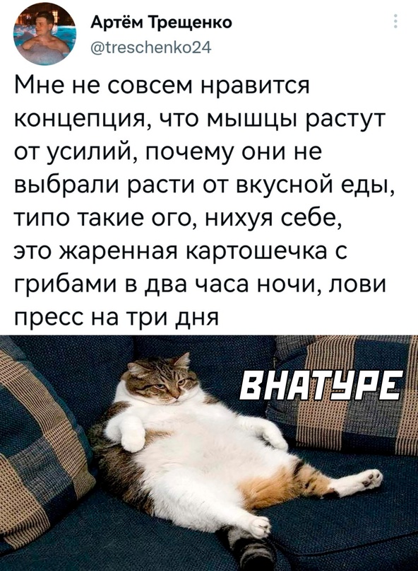 Весёлый полтишок 17.01.23