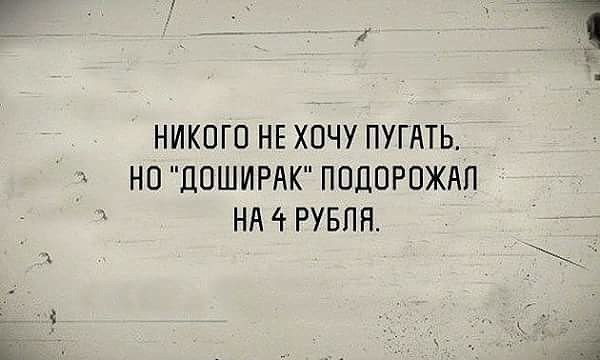 17653968.jpg