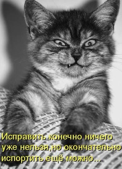 Всего понемногу. От 26.04.23