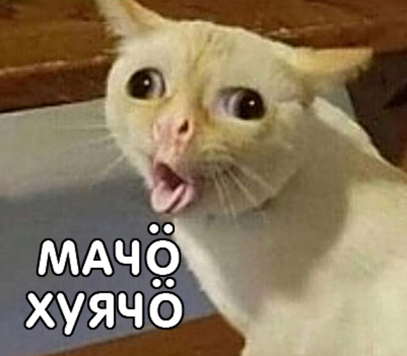 Я ненастоящий мужчина. И мне это нравится