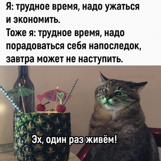 Картинки и мемы, всяко разно - 179