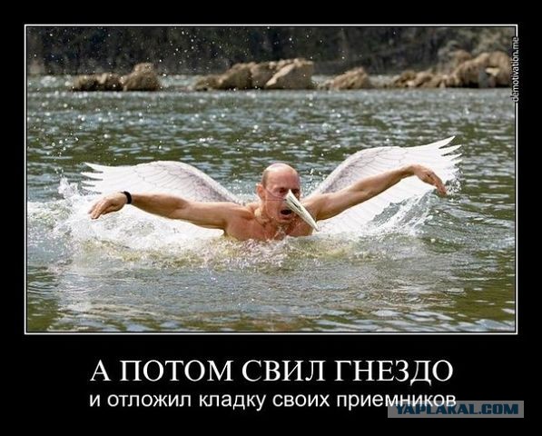 Сердюков чист