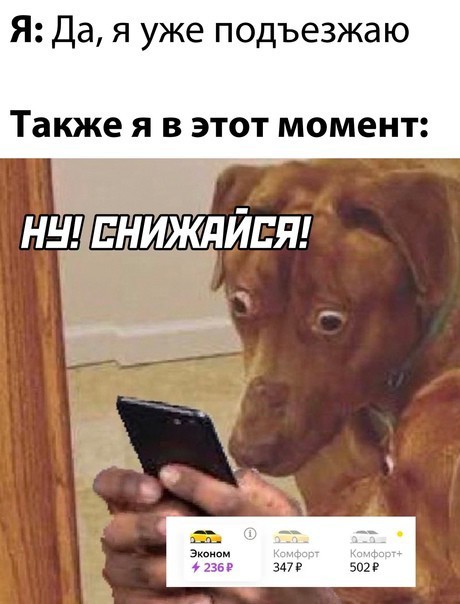 Кретинизмы из KV и KO 10-03-2024