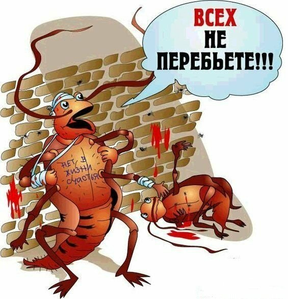 Принципиально новая ловушка для тараканов