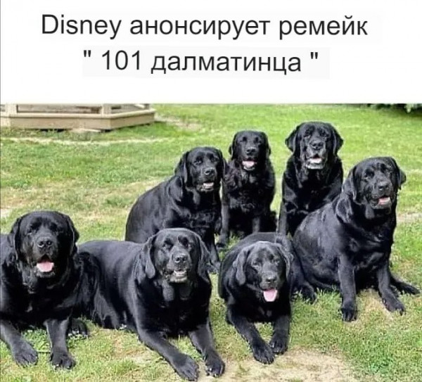 ТРРРидцать тРРРи от 3 мая