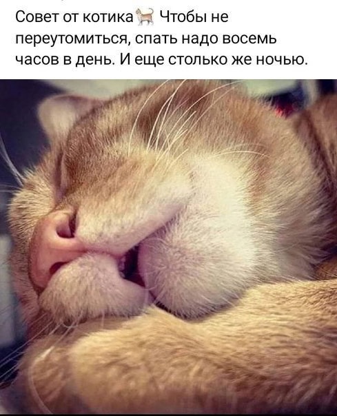 Так себе картинки 30.09.24