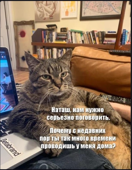 Картинки разные с надписями и без